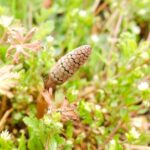 Thumbnail of related posts 000