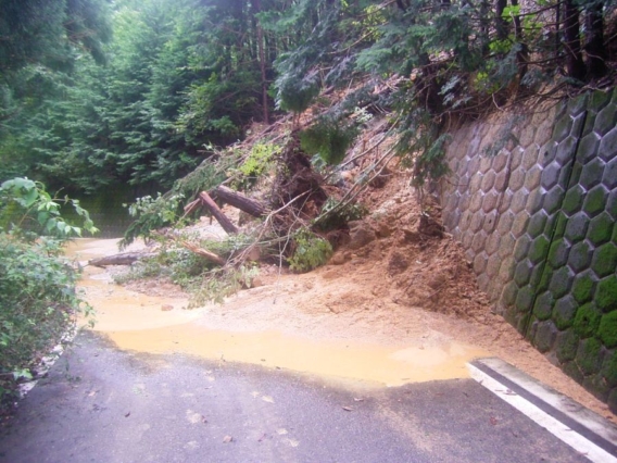 Thumbnail of post image 015