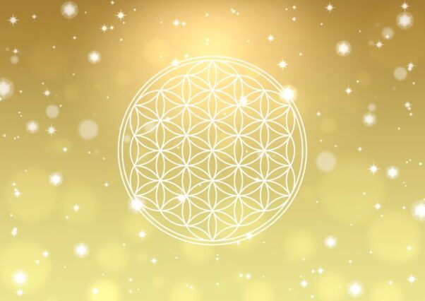 Thumbnail of post image 165